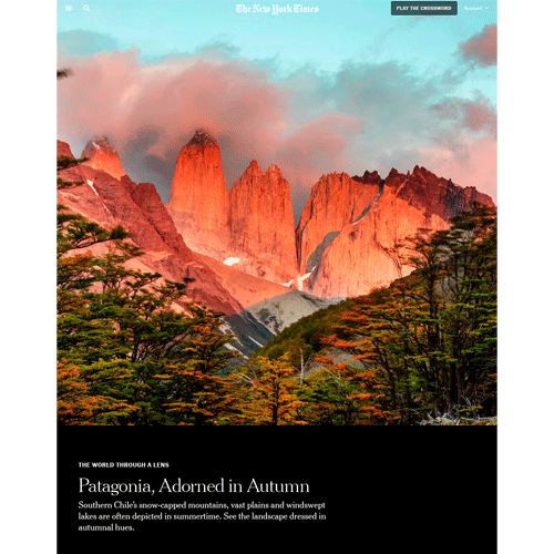 New-York-Times-Patagonia-WTAL