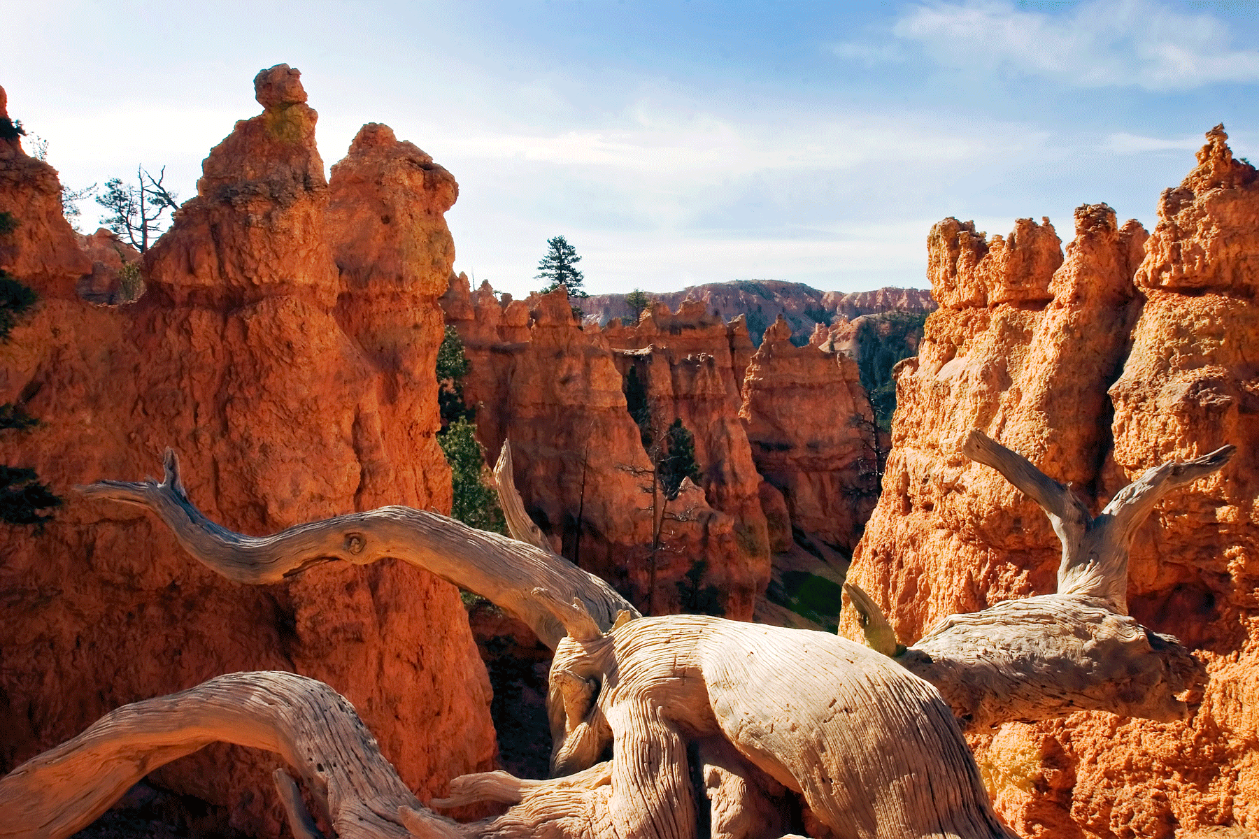 bryce-canyon-national-park-utah-trail-scene