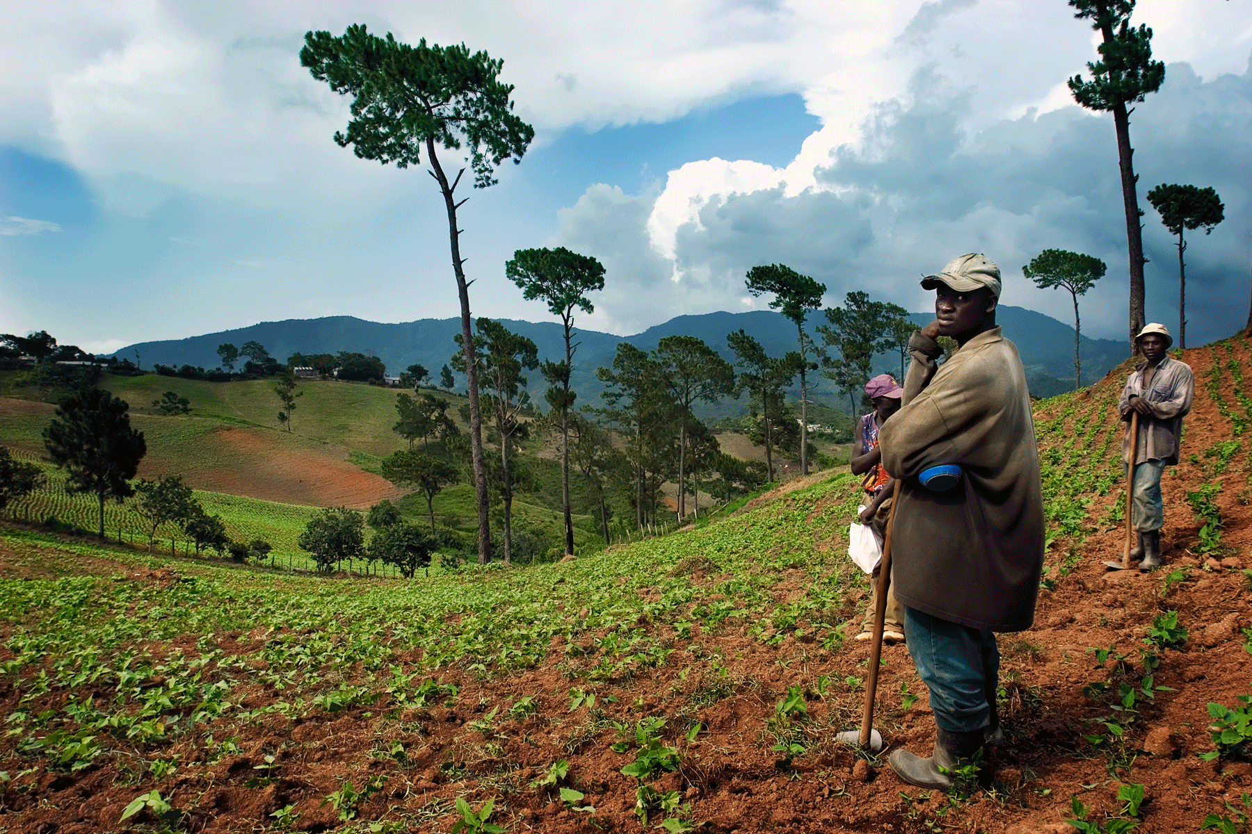 constanza-dominican-republic-farmland-mountianside