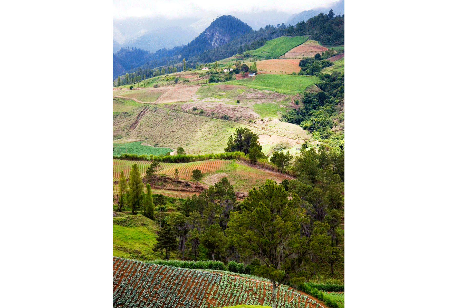 constanza-jarabacoa-farm-dominican-republic-mountains