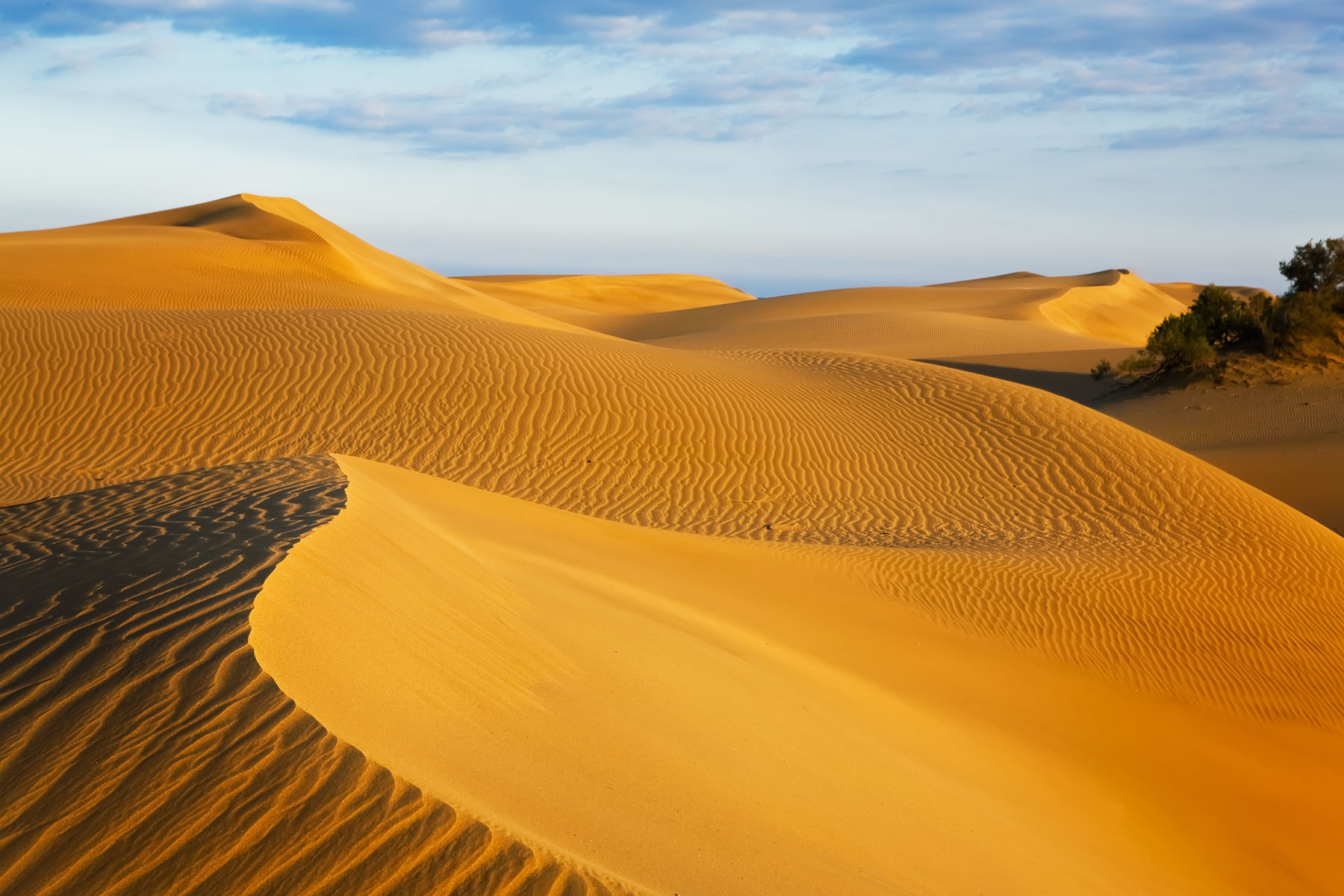 mesapaloma-sand-dunes-canary-silands-spain