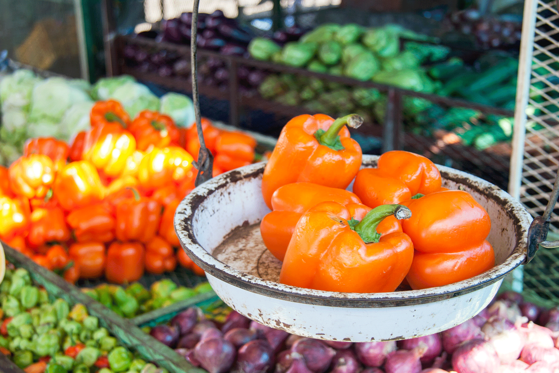 puerto-plata-dominican-repubic-farmers-market-produce