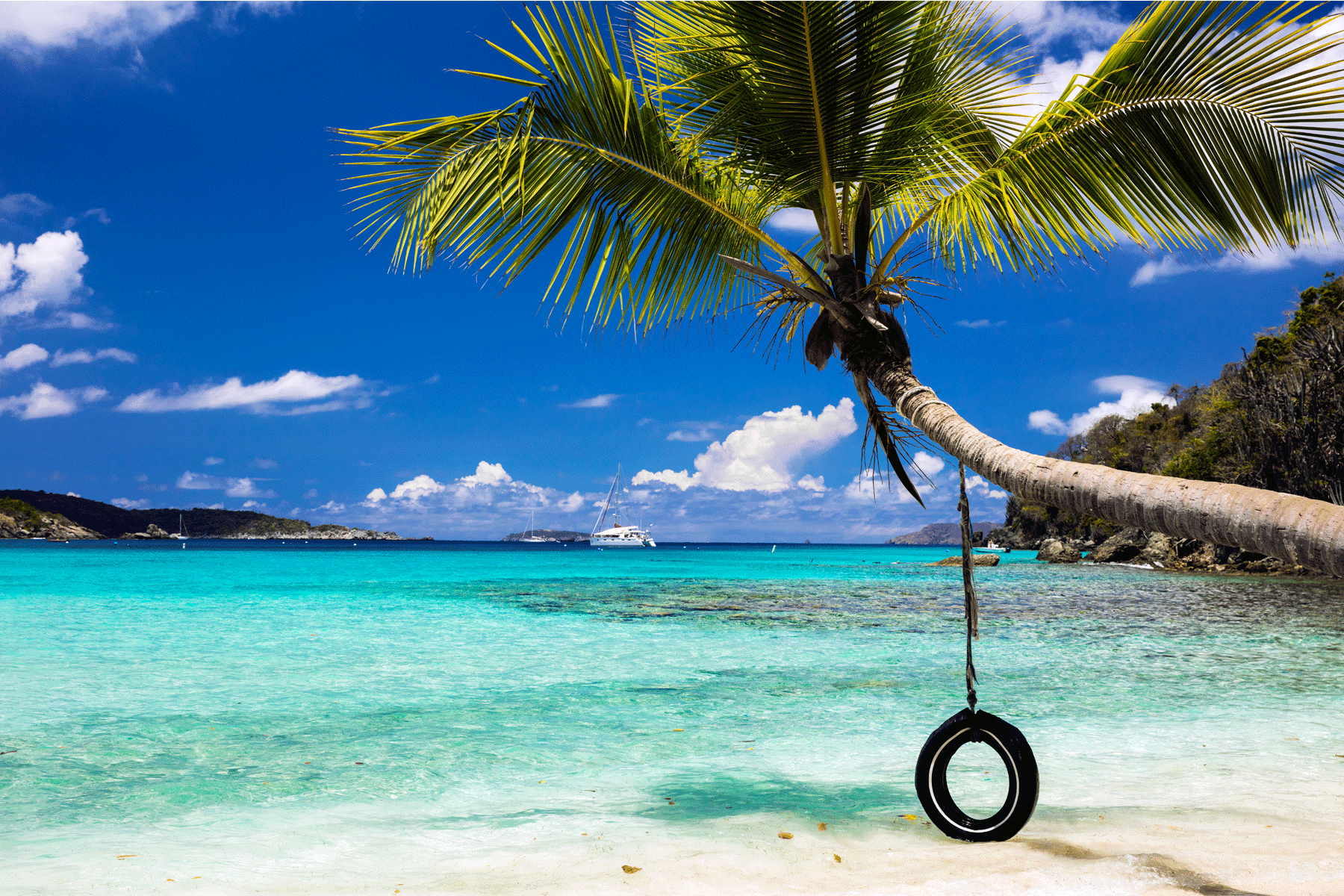 tire-swing-st-john-usvi-caribbean