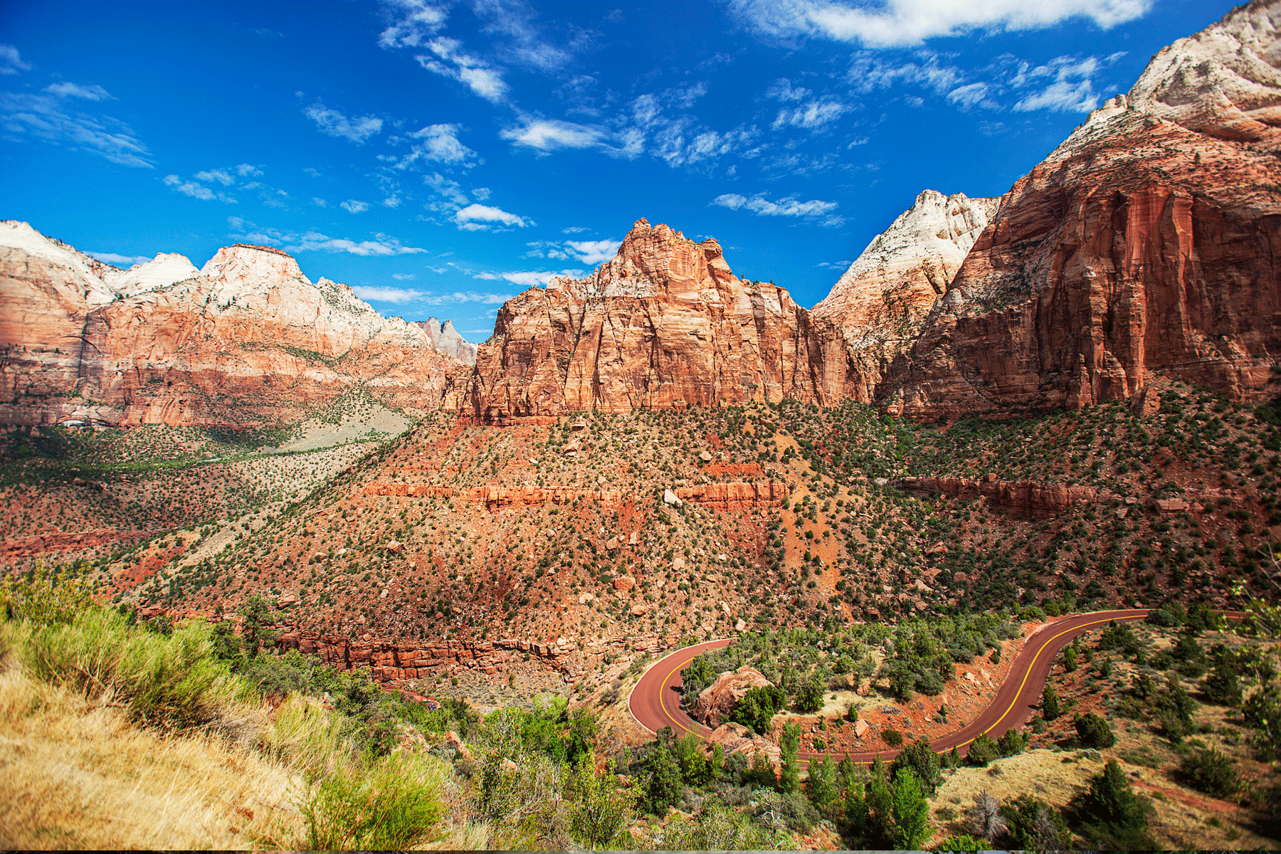 zion-national-park-utah-viewpoint